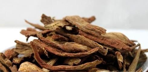 丹参的功效与副作用