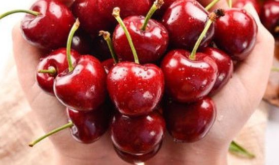 车厘子和茶可以一起吃吗