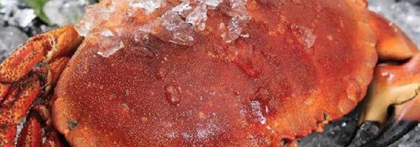 冷冻的面包蟹不解冻清蒸多长时间