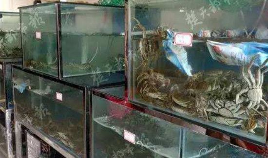 河蟹怎么保存一晚上