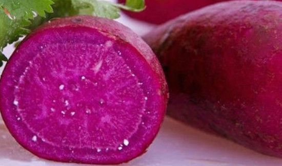 紫心萝卜的功效与作用