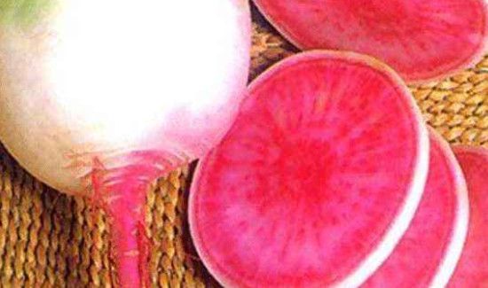 紫心萝卜的功效与作用