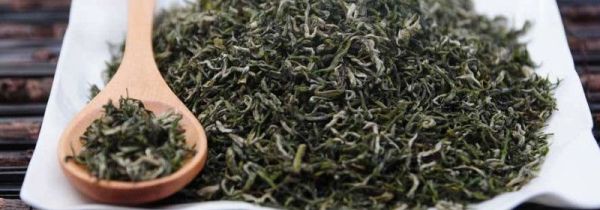 毛尖保质期有多久