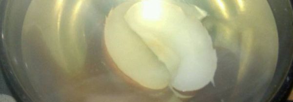 沙梨煮水喝有啥功效