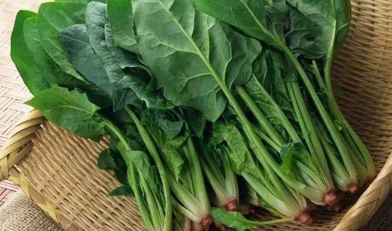 菠菜和鸡肉能一起吃