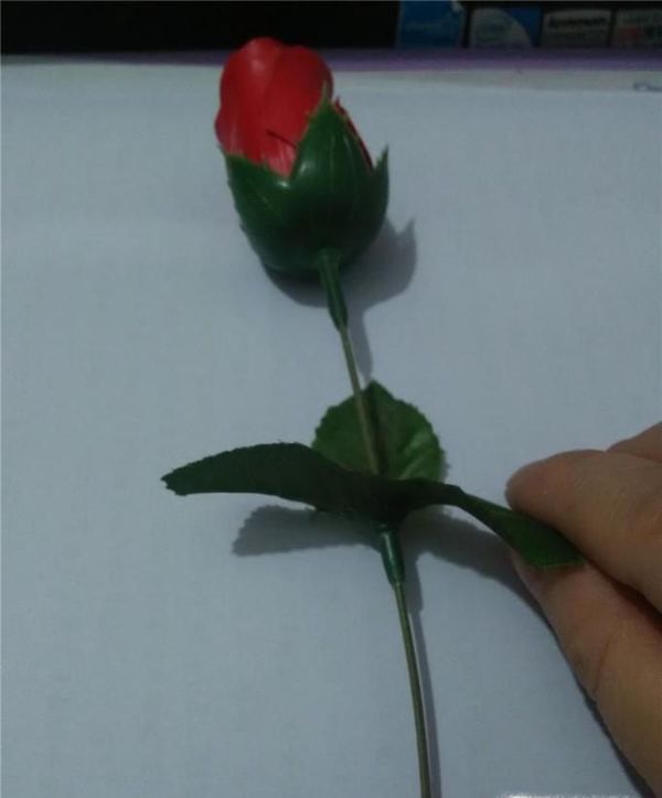 如何保存玫瑰花