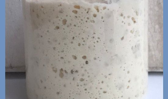 怎样自制酵母粉