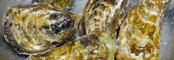 生蚝怎么去内脏图解