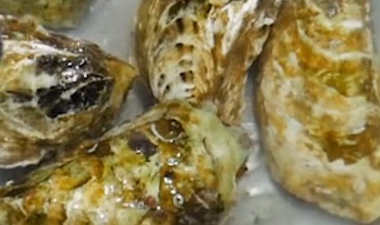 生蚝怎么去内脏图解