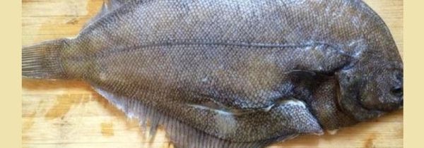 偏口鱼怎么去内脏图解