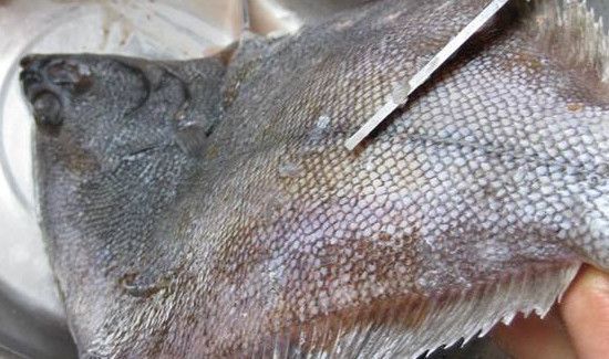 偏口鱼怎么去内脏图解