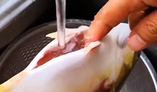 鲳鱼怎么去内脏图解