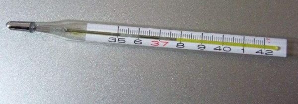 怎么读取水银温度计