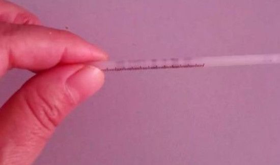 怎么读取水银温度计