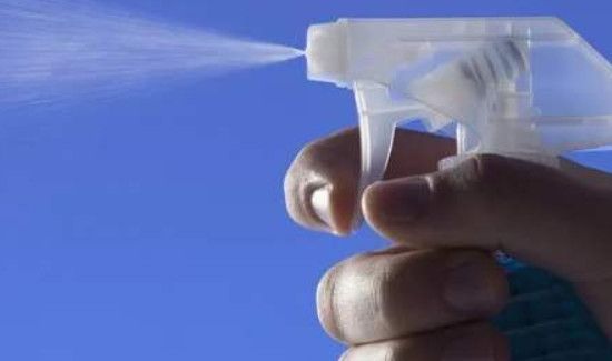 家里有蝙蝠怎么办