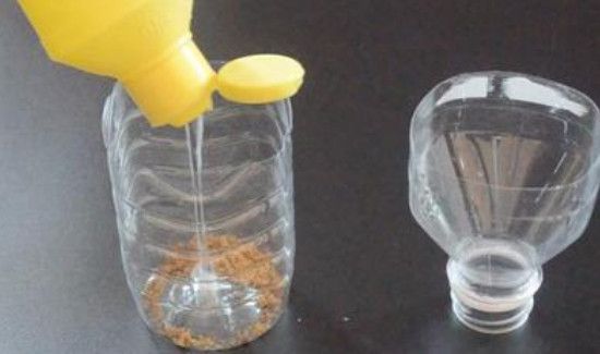 家里有蟑螂怎么除