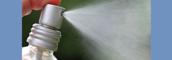 家里有蝙蝠怎么办