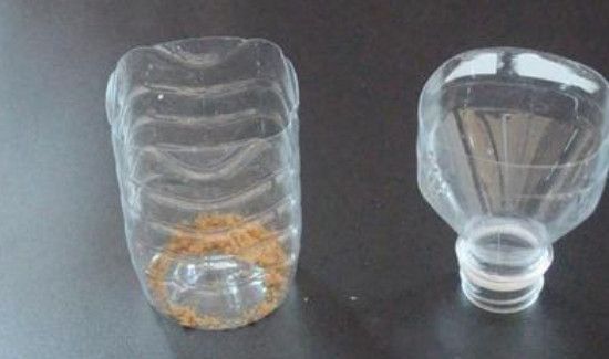 家里有蟑螂怎么除