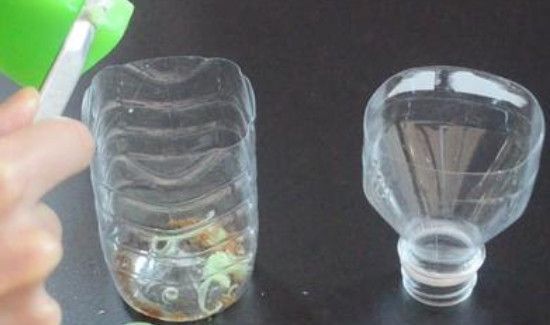 家里有蟑螂怎么除