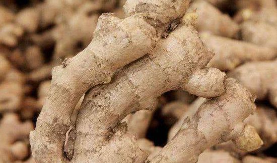 生姜发芽能吃吗