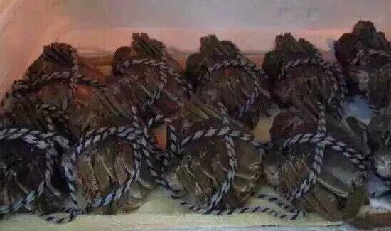 冰箱冻死螃蟹能吃吗