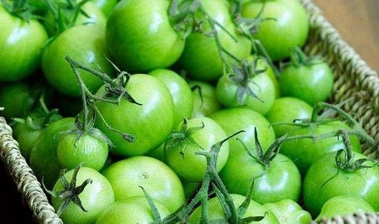青番茄能吃吗