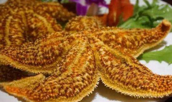海星能吃吗