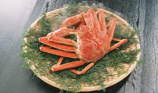 蜘蛛蟹能吃吗