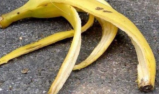 香蕉皮能吃吗