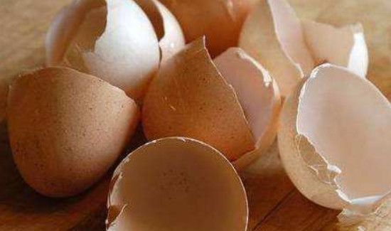 鸡蛋壳能吃吗