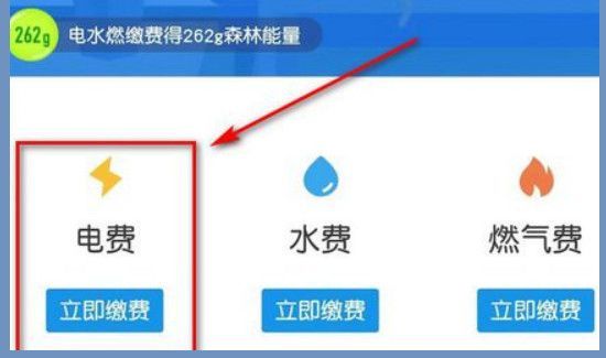 网上怎么缴纳电费
