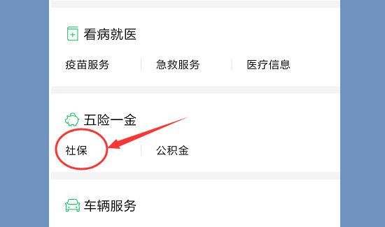 网上怎么缴纳社保费用