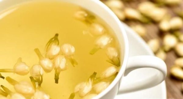 什么花可以泡茶喝