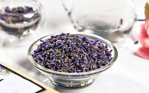 什么花可以泡茶喝