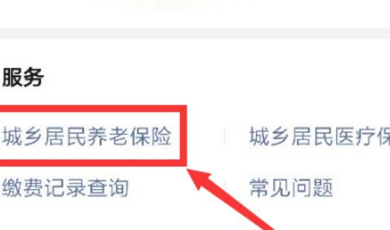 网上怎么缴纳养老保险