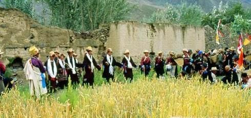 少数民族藏族的节日