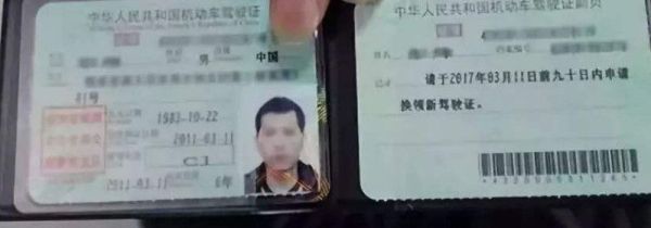 驾驶证怎么查询档案