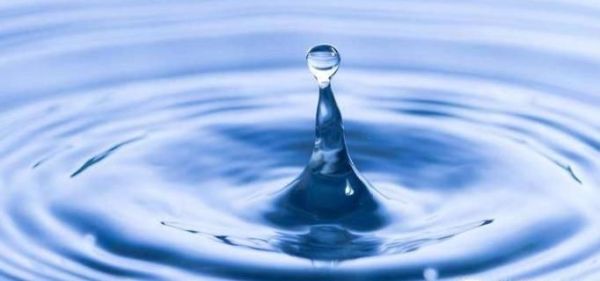 室内怎么养菜花蛇