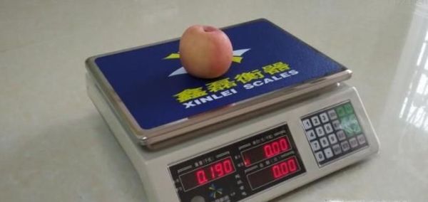 电子天平的使用方法