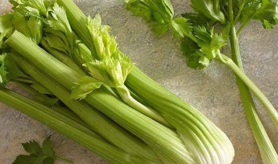 芹菜和牛奶能一起吃吗