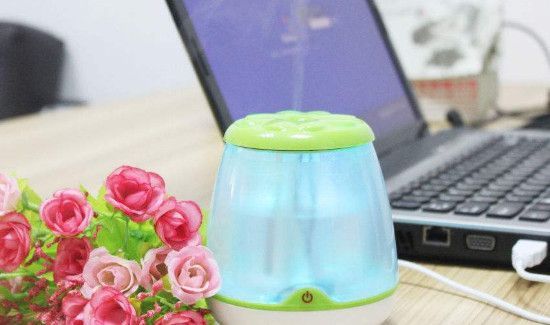 加湿器里放艾草有什么效果