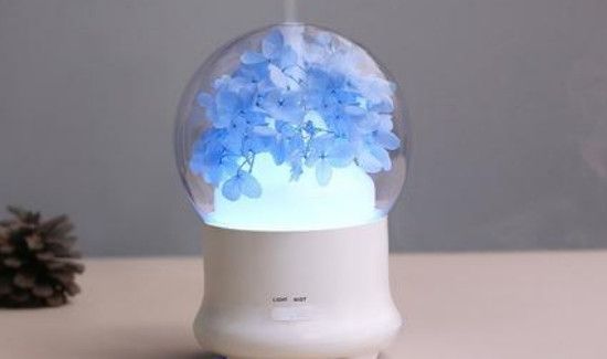 加湿器里放艾草有什么效果