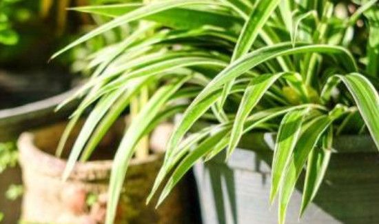 地板砖一擦有腥味怎么办