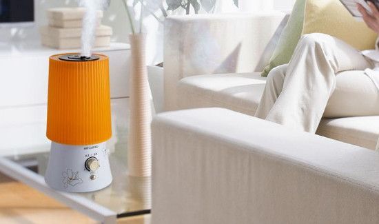 加湿器里面长了绿毛怎么清洗