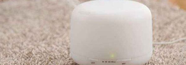 加湿器里面长了绿毛怎么清洗