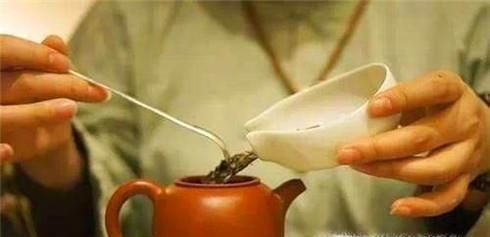 泡茶的基本步骤是什么？