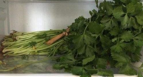 芹菜的几种保鲜方法