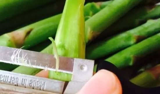 芦笋要削皮吗