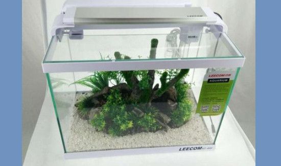 闲置鱼缸的妙用