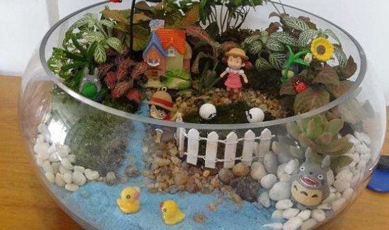 闲置鱼缸的妙用